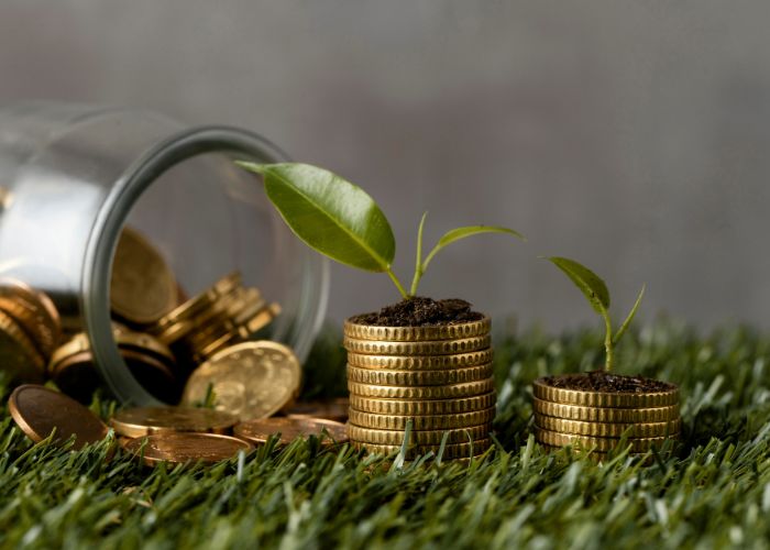 The Art of Stretching Your Dollars: Money Saving Strategies for Financial Success