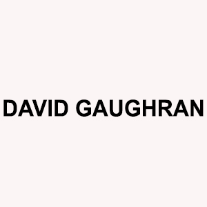 David Gaughran Coupons