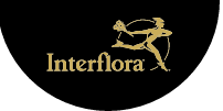 Interflora IT Coupon Codes